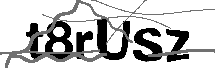 Loading CAPTCHA Image...
